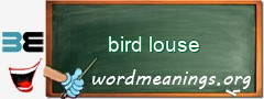 WordMeaning blackboard for bird louse